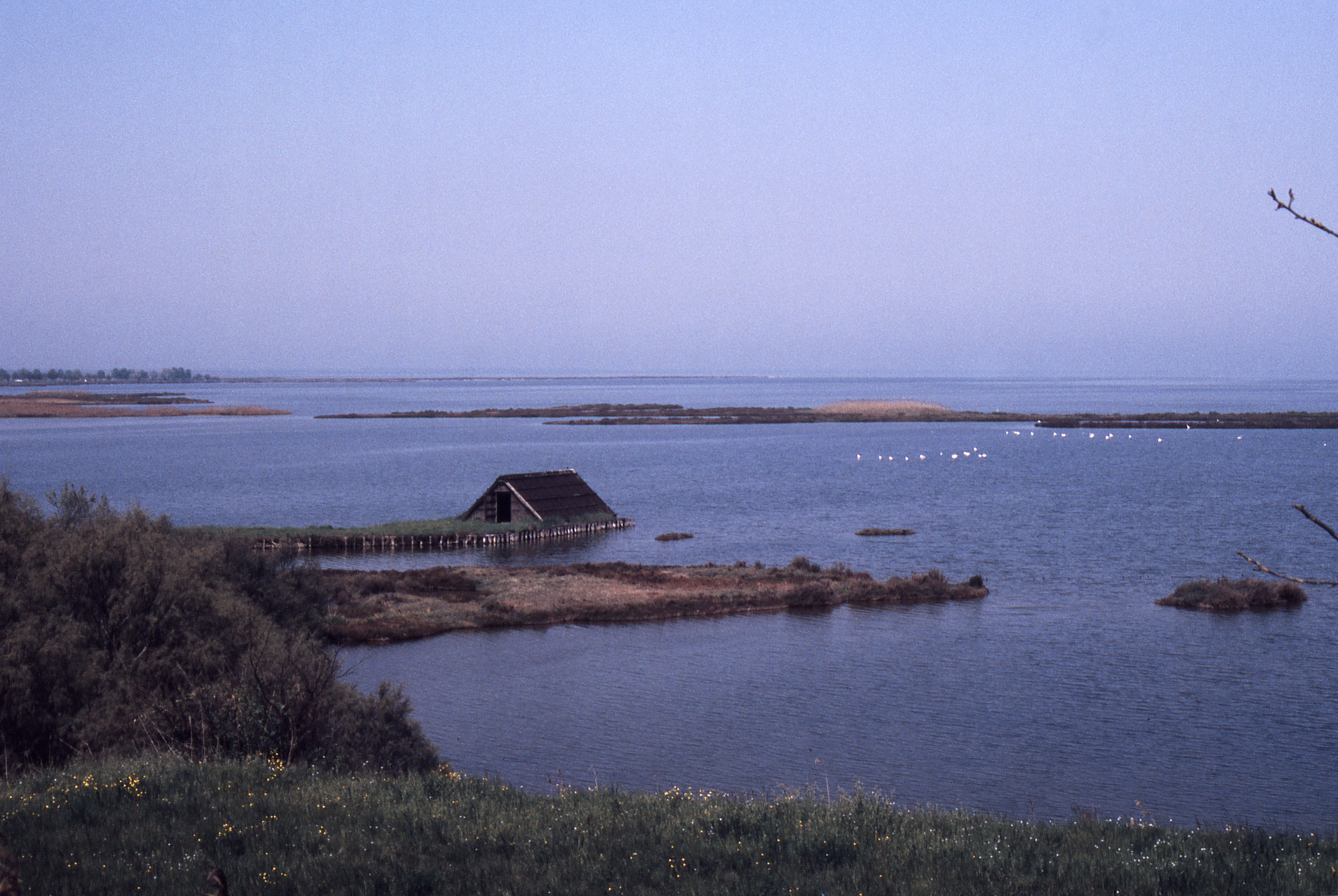 valli di comacchio