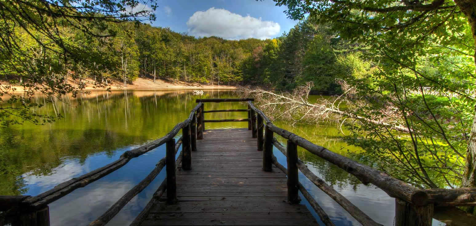 puglia-foresta-umbra