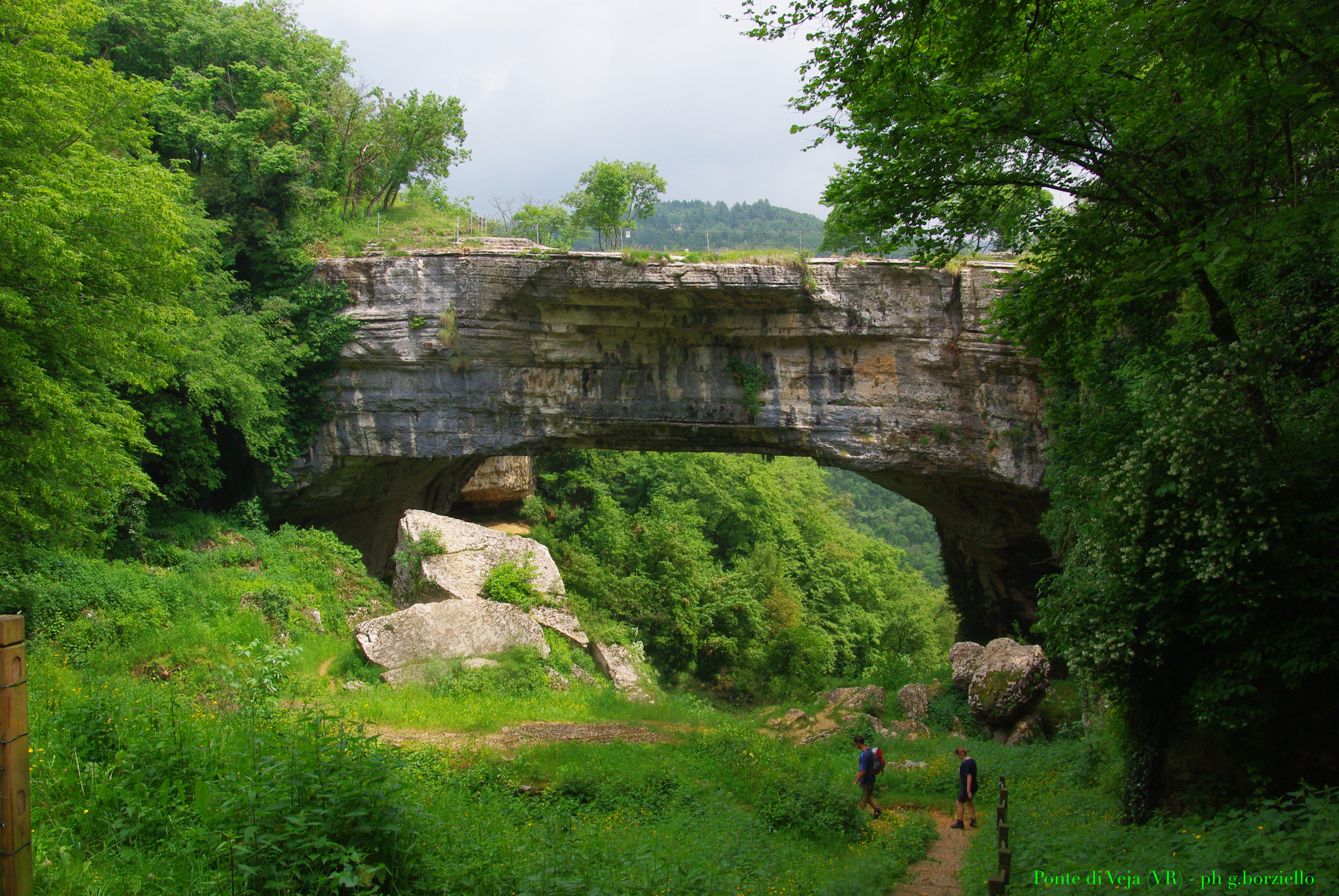 ponte di veja