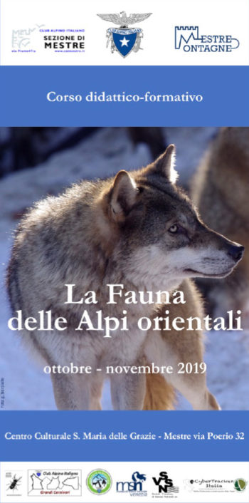 Corso fauna