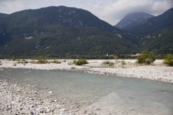 Tagliamento