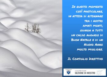 auguri