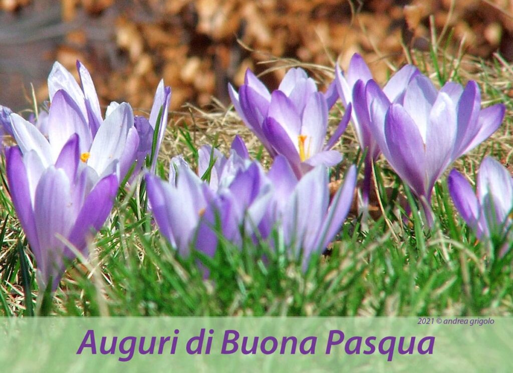 Buona Pasqua