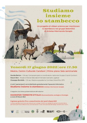 locandina stambecco_web