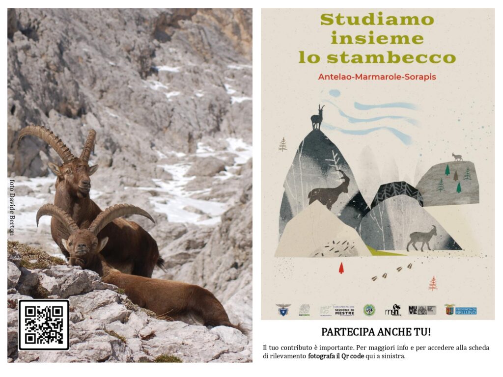 locsandina stambecco per rifugi e sezioni_page-0001