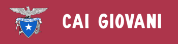 cai_g