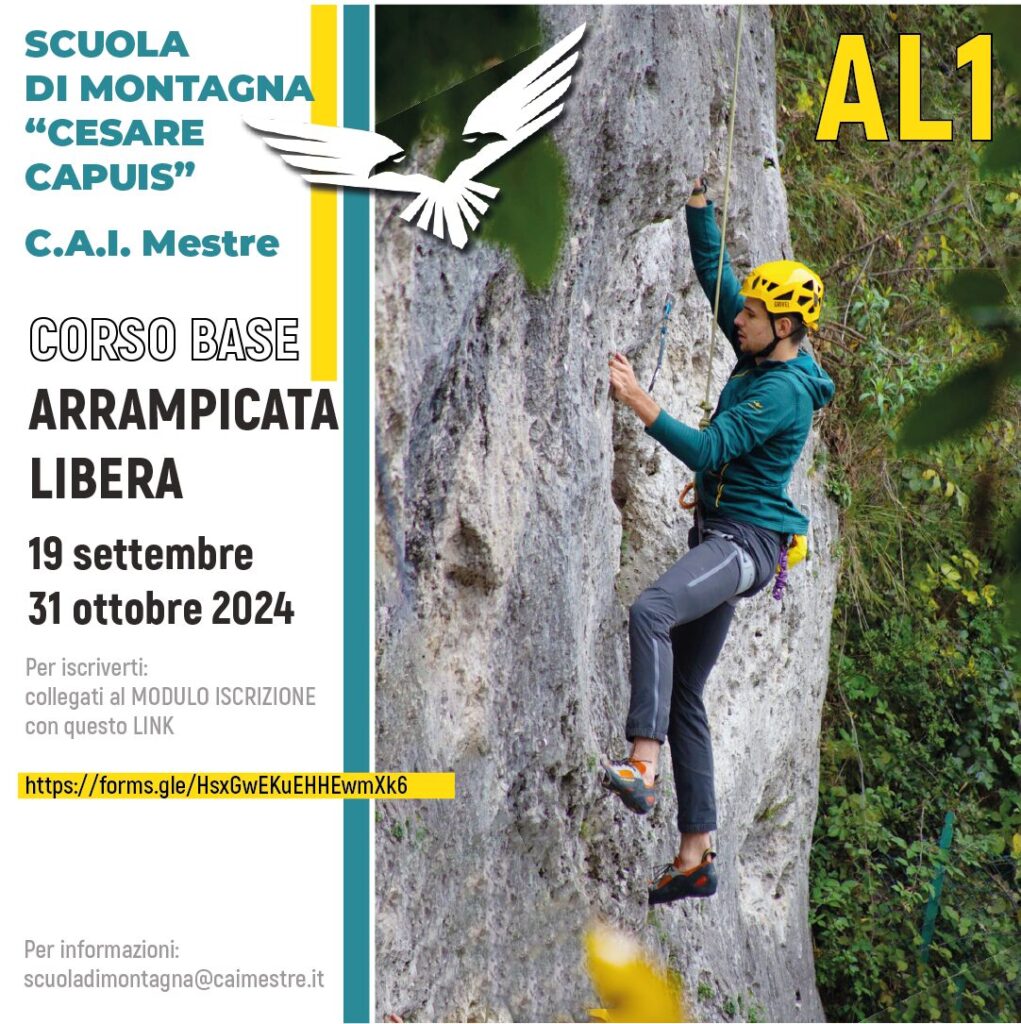 locandina LINK
