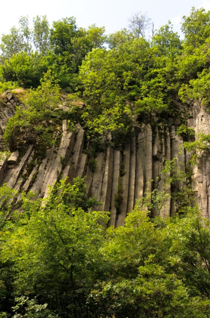 riolite – colli eug